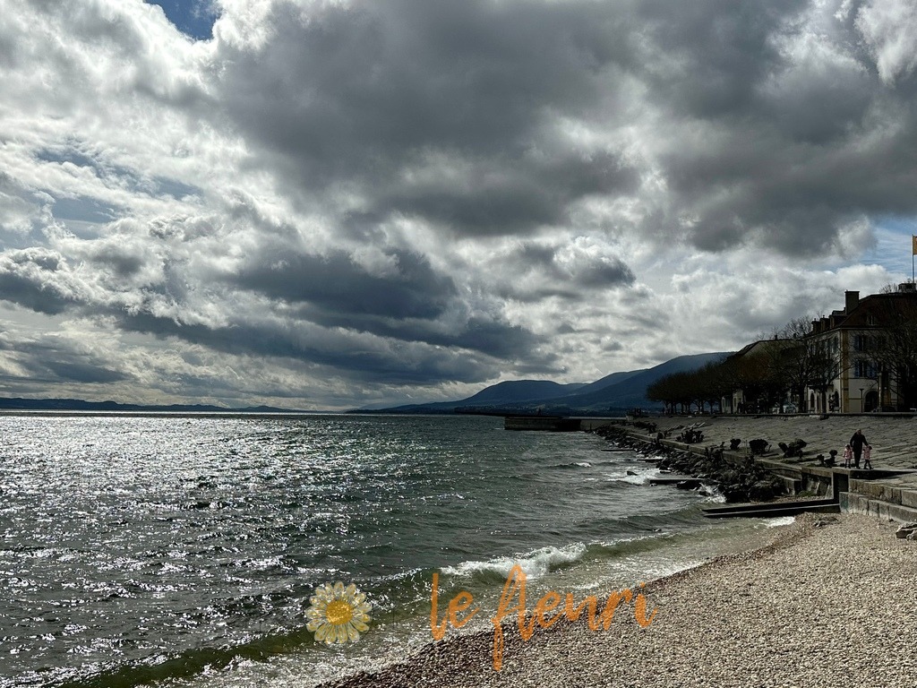 E9E933E6-4E4C-4919-BBBA-D57A619F5F14 | Dies ist der Shop von Florian Blum - le fleuri. Langenthal, Bern, SchweizSie können hier meine oder ihre eigenen Fotos als Fotoprodukte kaufen. Tassen, Schlüsselanhänger, Taschen etc. können Sie hier gestalten.  - Realisiert mit Pictrs.com