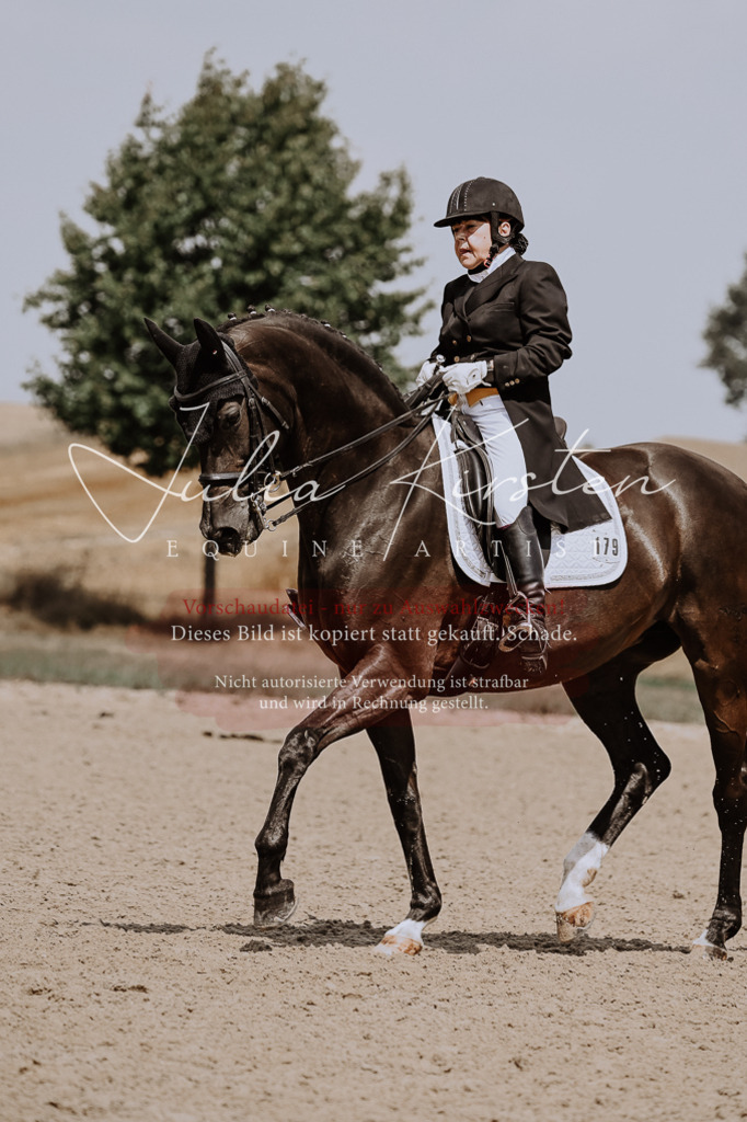 DSC_2723 | Pferde- und Turnierfotografie in Westsachsen. Pferdeportraits, Auftragszeichnungen und intuitive Kunst.