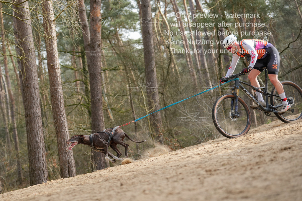 Bike2-2 | stephaniefillaphotographie - Realisiert mit Pictrs.com