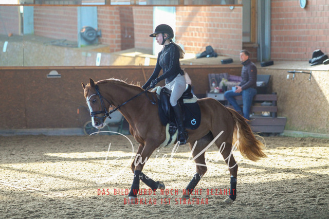 DKP42179 | Turniersportfotografie; Pferdefotografie; Dressurfotografie