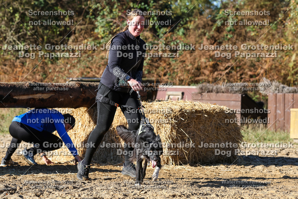Dog Paparazzi - Strongdog 10-25-2157 | Dog Paparazzi Jeanette Grottendiek Fotografie & Videografie - Realisiert mit Pictrs.com