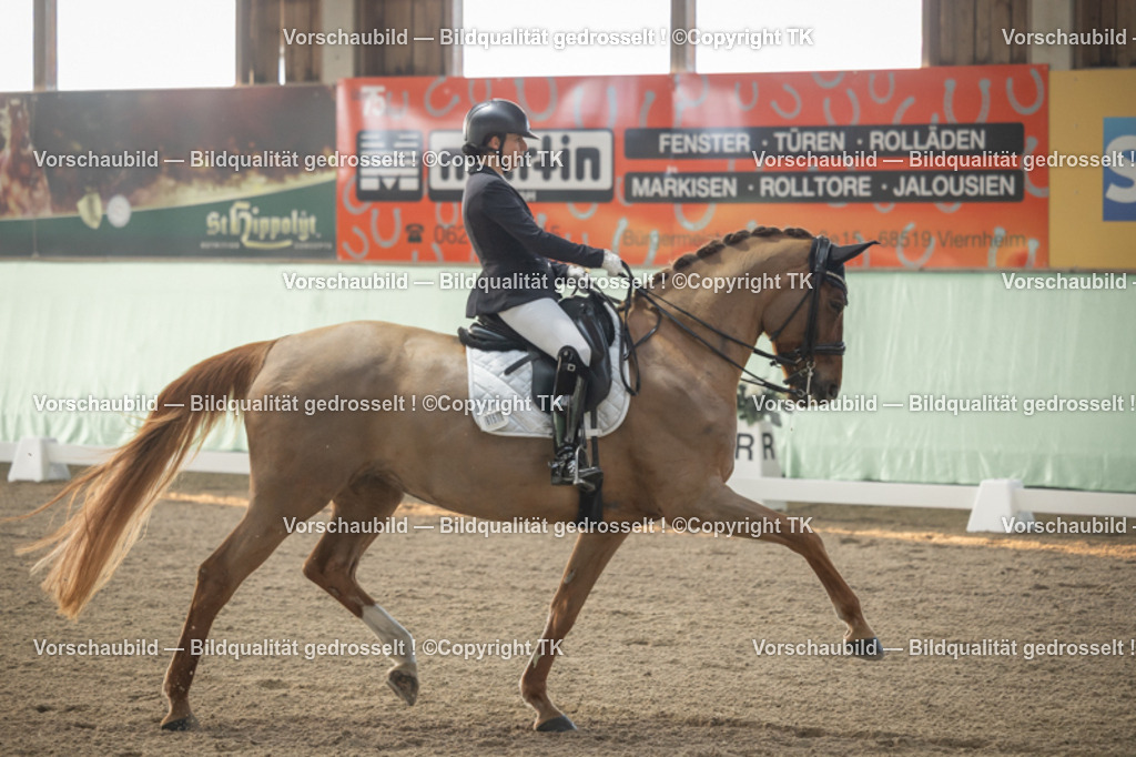 _D5A3970 | Emotionale Pferde- & People-Fotografie rund um Heidelberg, Leimen & Umgebung. Natürliche Fotos von Pferd, Mensch & Familie. Jetzt Termin sichern!