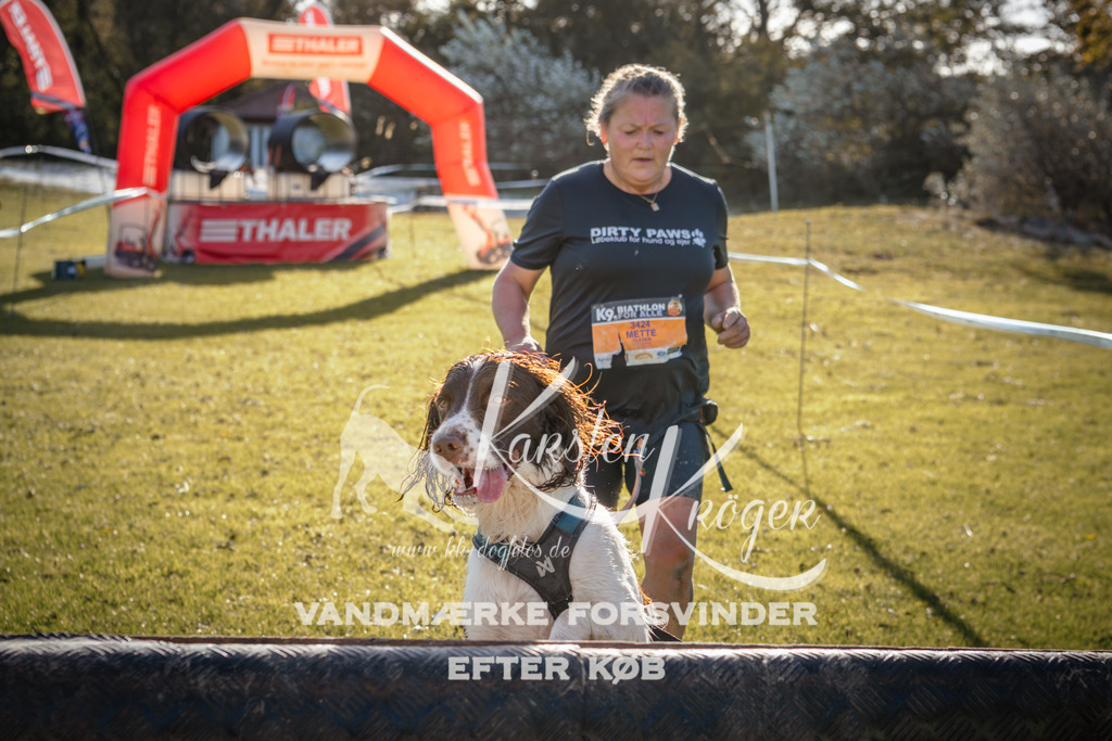 1014_ZZ99965 | kk-dogfotos