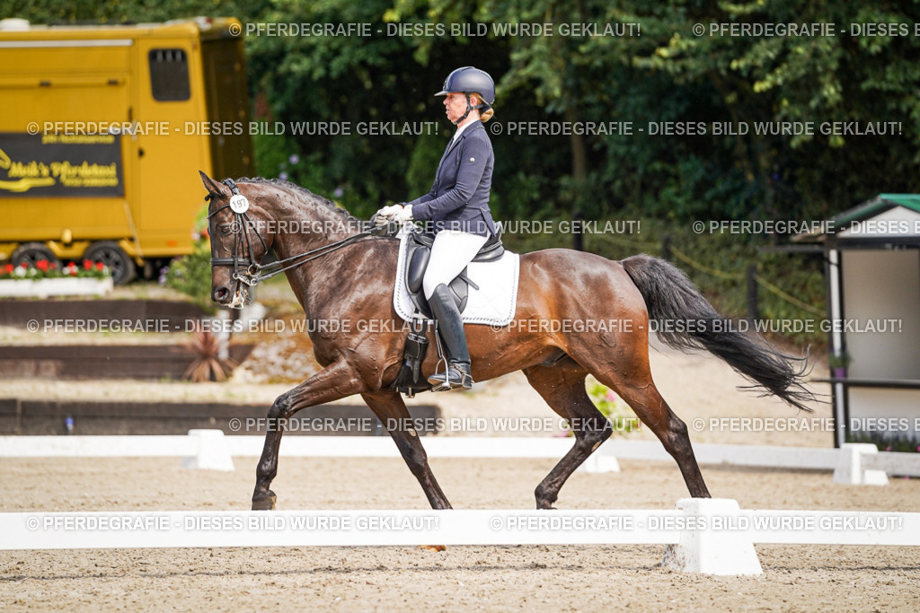 DSC05920 | Pferdegrafie