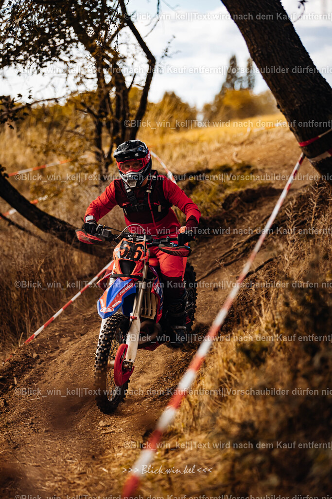 E68A3012 | blick_win_kel