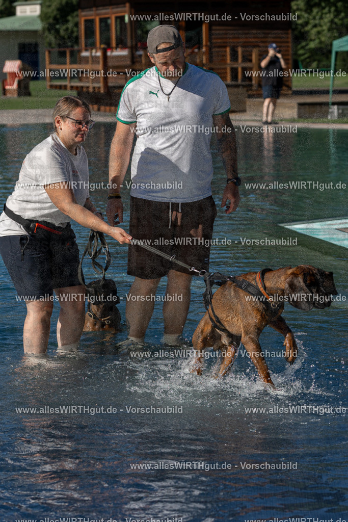 Hundeschwimmen_Volksbad_2026-allesWIRTHgut_Tierfotografie-2609061027-FAY05894 | Professionelle Tierfotografie in Mönchengladbach von Daniel Wirth (allesWIRTHgut). Liebevolle & natürliche Bilder von Hunden & Katzen für unvergessliche Erinnerungen.