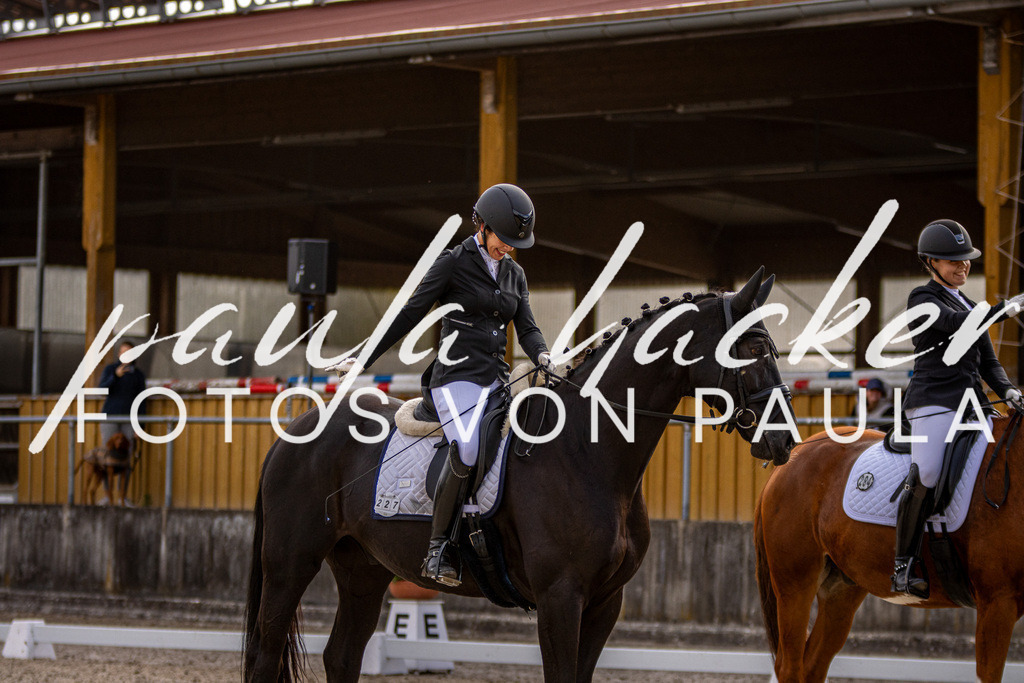 IMG_3357 | Erleben Sie dynamische Sport- und emotionale Tierfotografie in Süddeutschland mit Fotos von Paula. Spezialisiert auf Pferde- und Hundefotografie sowie Sportevents. Kontaktieren Sie mich für einzigartige und ausdrucksstarke Bilder Ihrer besonderen Momente.