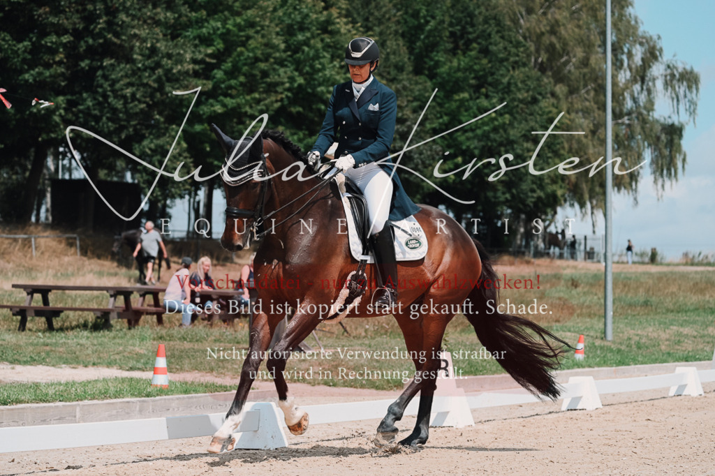 DSC_3871 | Pferde- und Turnierfotografie in Westsachsen. Pferdeportraits, Auftragszeichnungen und intuitive Kunst.