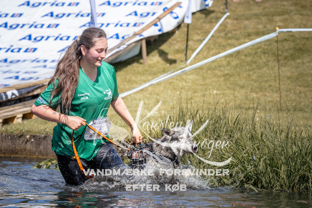 _ZZ935890940 | kk-dogfotos