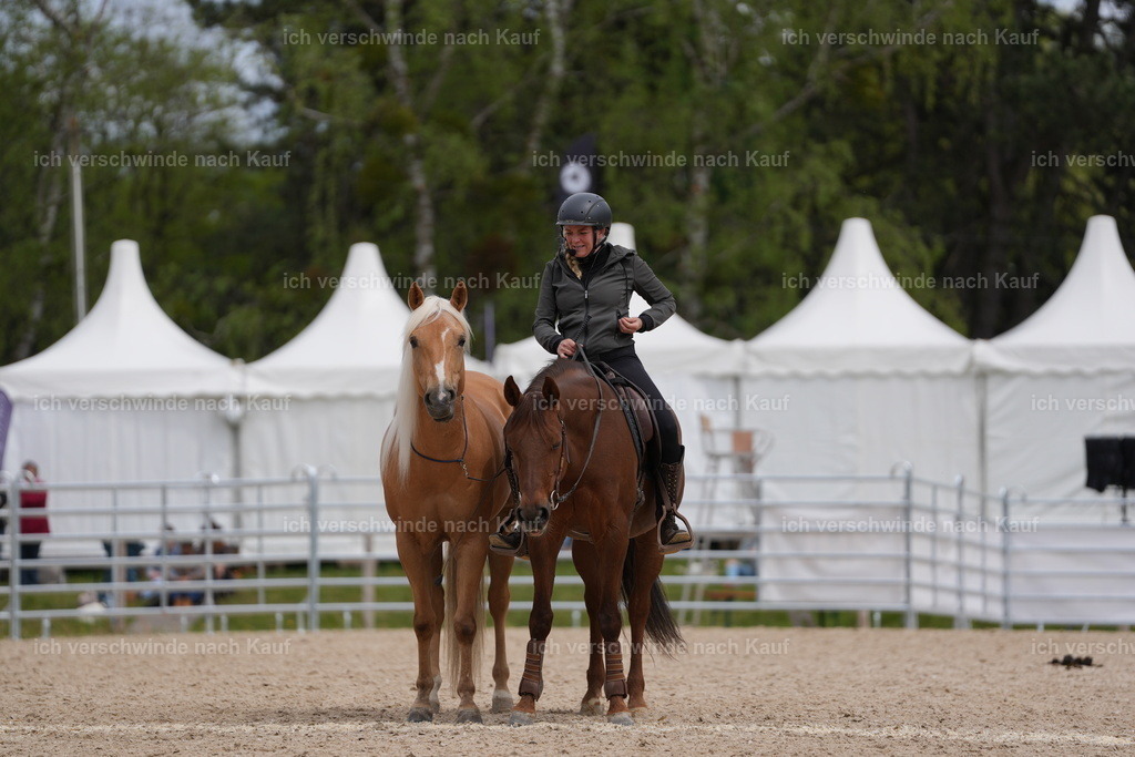 PI26_Gesamtshow_JansPictures_7C_01100.JPG | working equitationturnier fotograf videograf stoibphotography marixx film working equitation deutschland reitsport turnierfotografie eventfotografie equestrian events