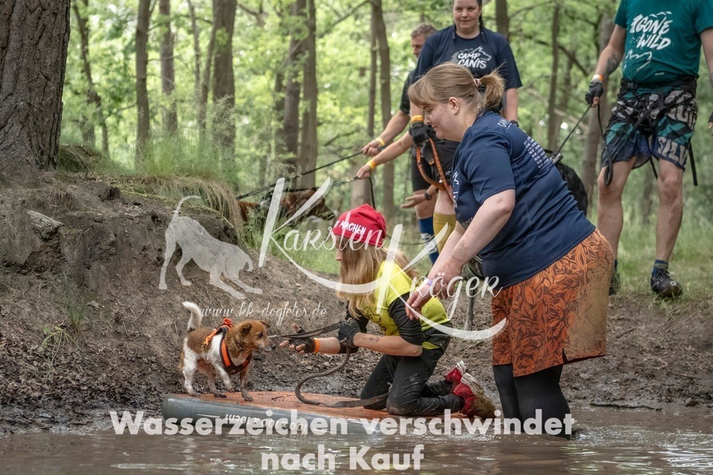 1206_ZZ96970T | kk-dogfotos
