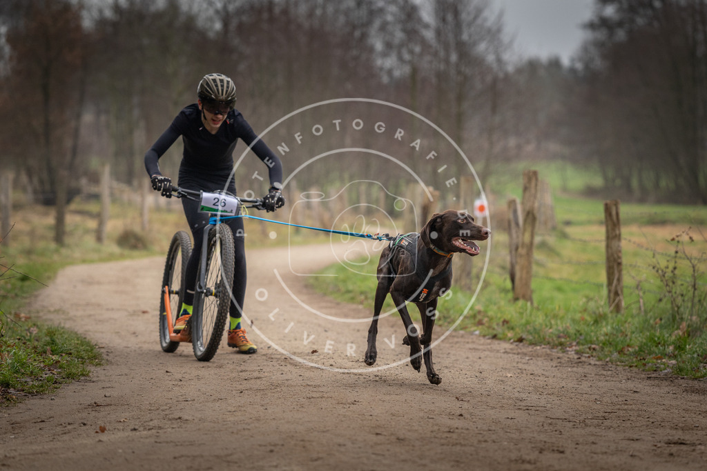 Pfotenfotografie_DV3A2134 | Hundefotografie, Tierfotograf, Pfotenfotografie, Fotoshooting Hund, Hunde Portrait, Hundesport, Hundeportraits, Heideshooting, Hunde, Sportfotograf, Hundefotograf, Turnierhundsport, THS,  - Realisiert mit Pictrs.com