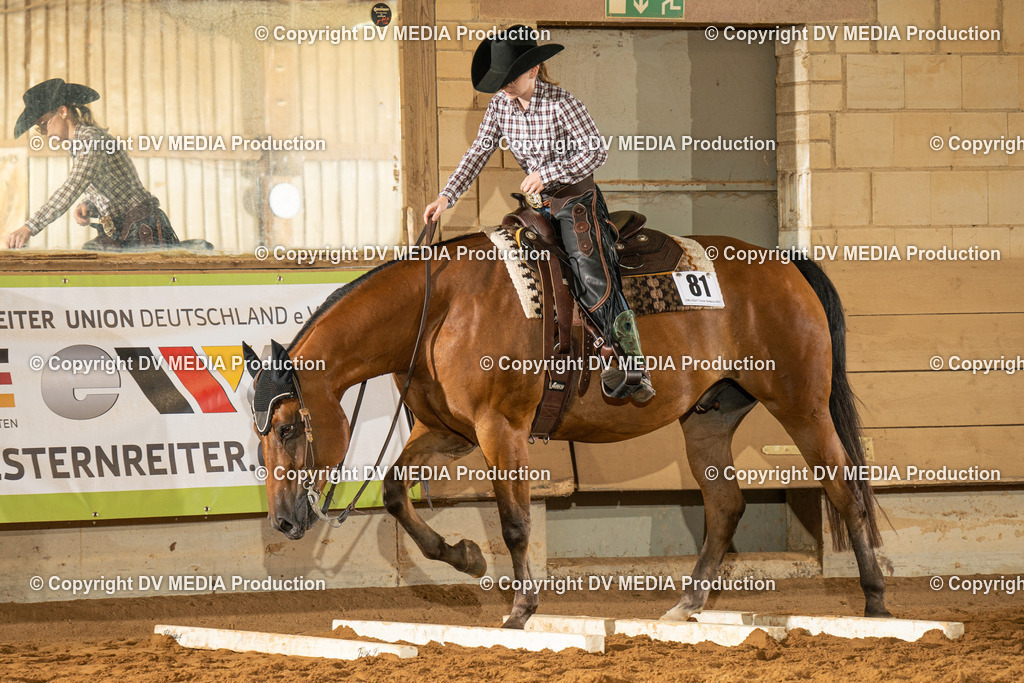 NID01656 | dv-media-shop - Realisiert mit Pictrs.com