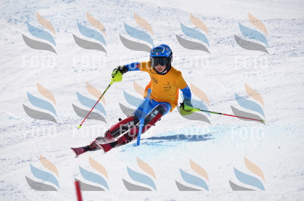 C9784 | holidayphoto