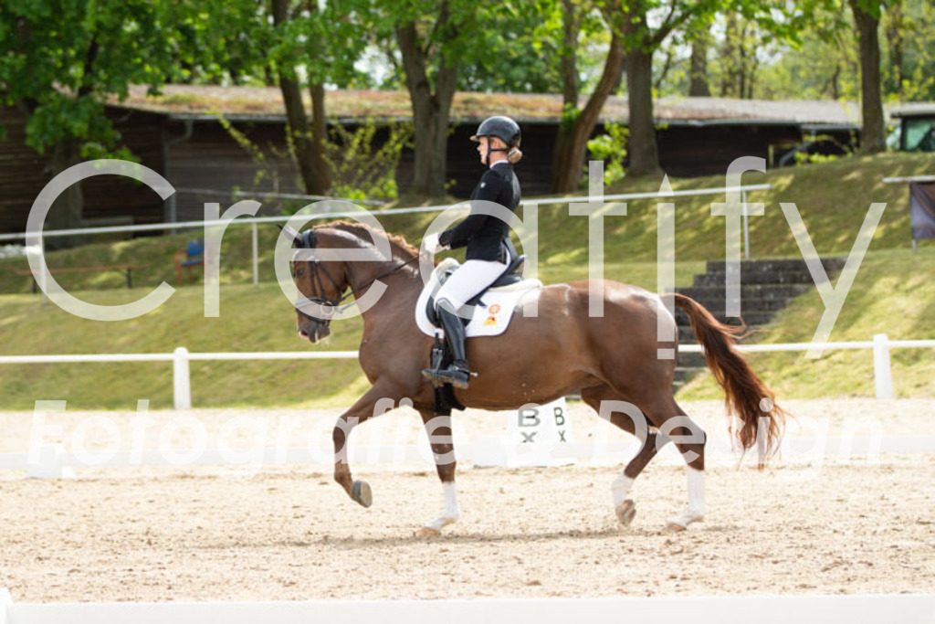 IMG_2271 | Creatify Fotografie