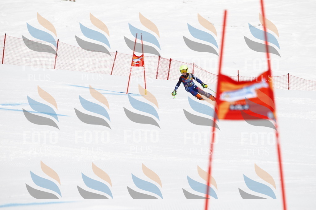 _U3G4158 | holidayphoto