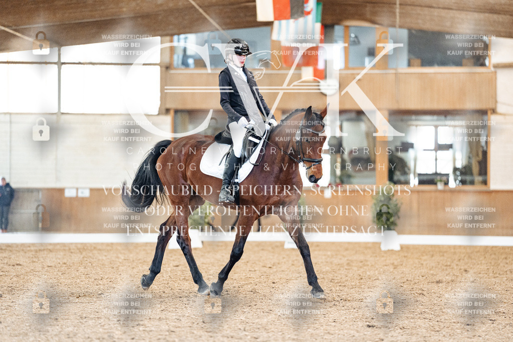 CK908655 | Turnierfotografie Pferdefotografie Trier Rheinland-Pfalz Pferdesport Reitsport Tierfotografie Sportfotografie Pferdevideo Pferdevideografie Equestrianvideography equestrianphotography  - Realisiert mit Pictrs.com