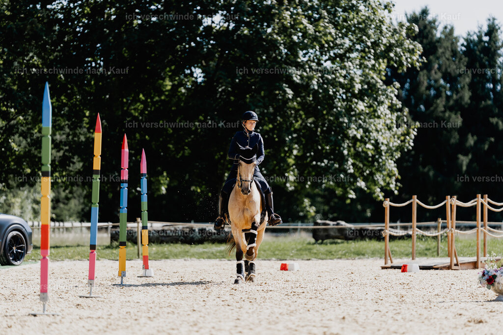 Diana11_FHC2025-09051 | working equitationturnier fotograf videograf stoibphotography marixx film working equitation deutschland reitsport turnierfotografie eventfotografie equestrian events