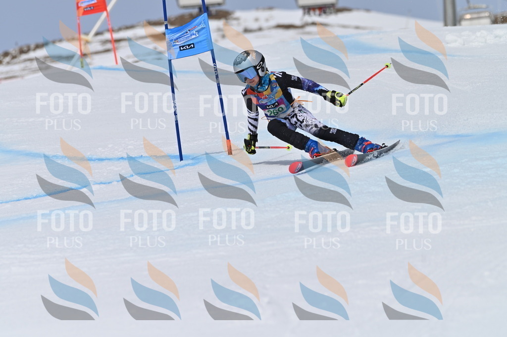 BGV_5326 | holidayphoto