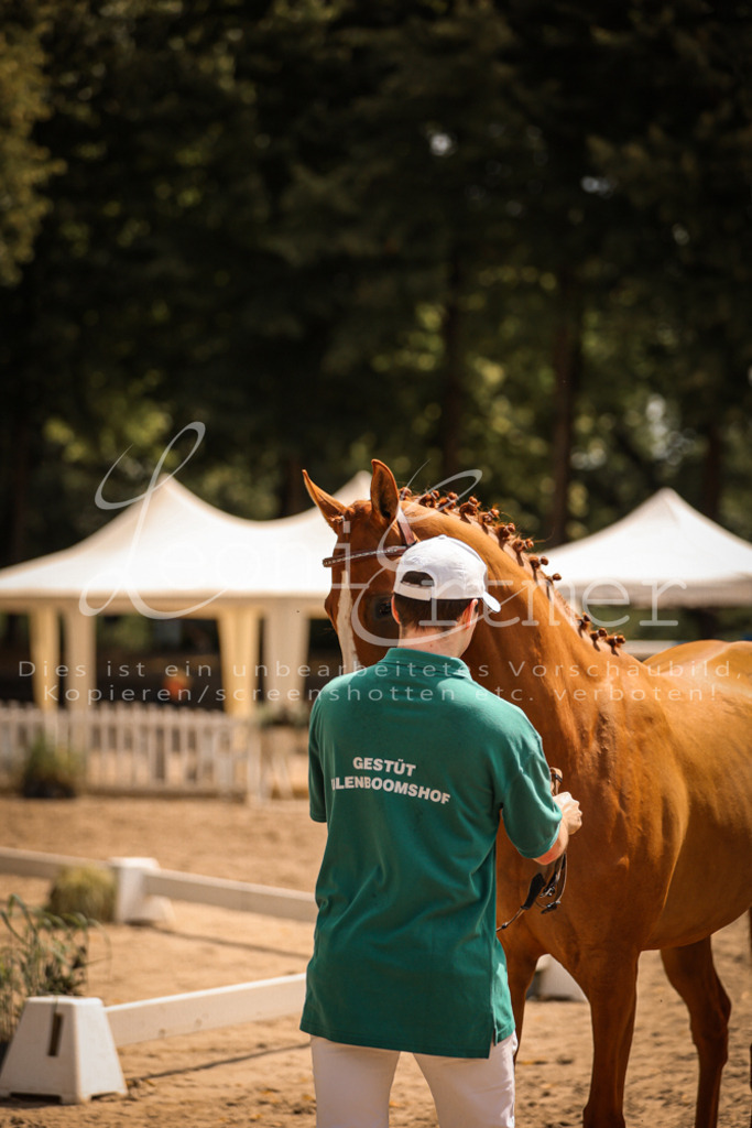 05.So00054 | Leoni Ertmer Photography - Realisiert mit Pictrs.com