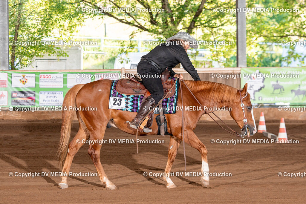 Erbach Tag 3-287 | dv-media-shop - Realisiert mit Pictrs.com