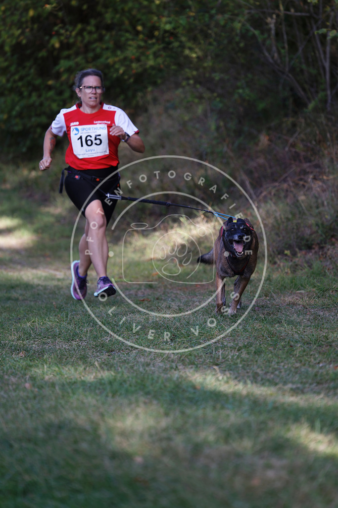 0L8A5386 | Hundefotografie, Tierfotograf, Pfotenfotografie, Fotoshooting Hund, Hunde Portrait, Hundesport, Hundeportraits, Heideshooting, Hunde, Sportfotograf, Hundefotograf, Turnierhundsport, THS,  - Realisiert mit Pictrs.com