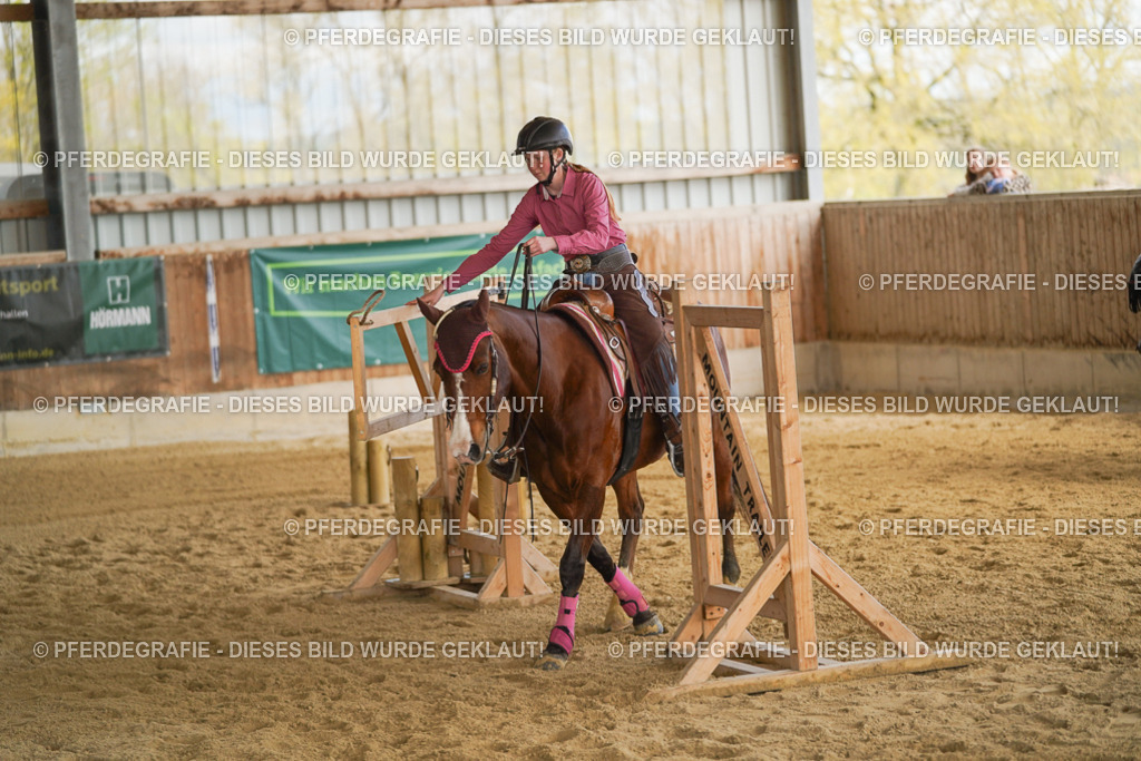 DSC05866 | Pferdegrafie