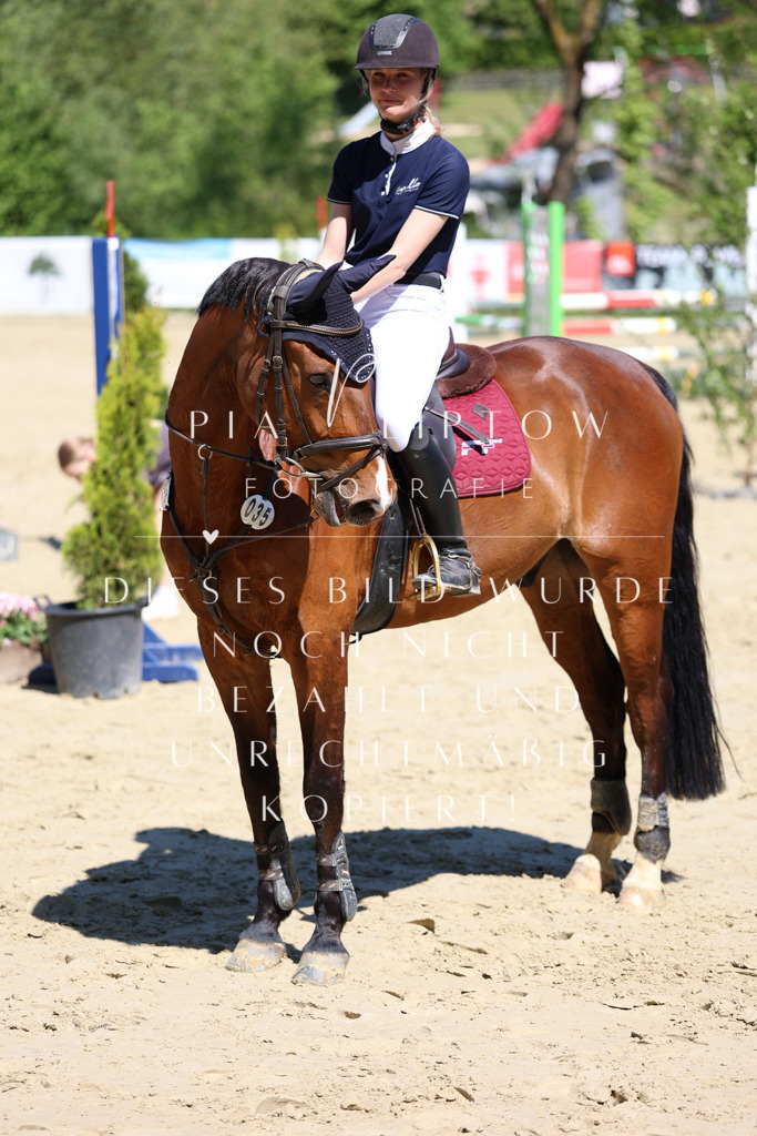 IMGS7619 | pl-fotografie