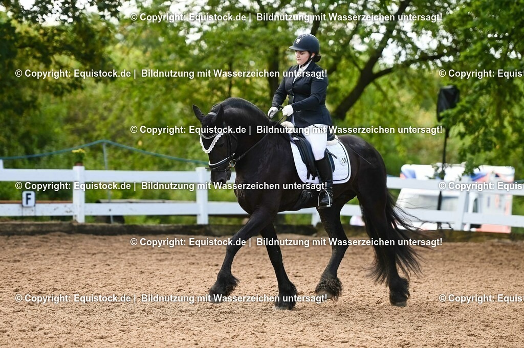 20230716_04_Dressurreiterprüfung Kl.A_0390 | equistock