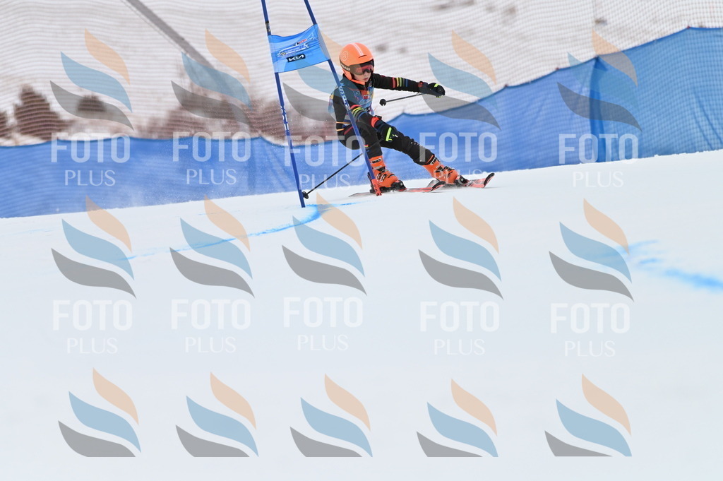 BGV_9877 | holidayphoto