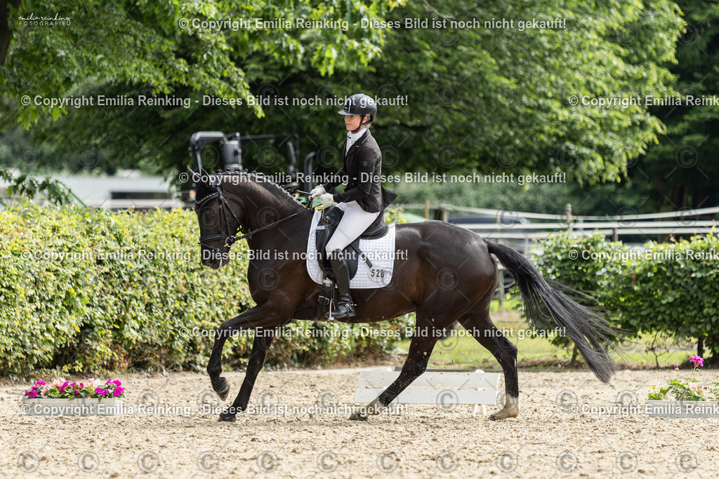 CL5A5710 | Emilia Reinking Fotografie - Realisiert mit Pictrs.com