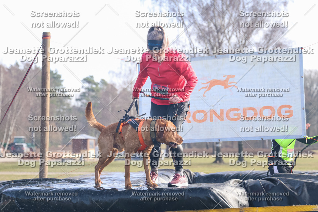 Dog Paparazzi - Strongdog North Mrz26-479 | Dog Paparazzi Jeanette Grottendiek Fotografie & Videografie - Realisiert mit Pictrs.com
