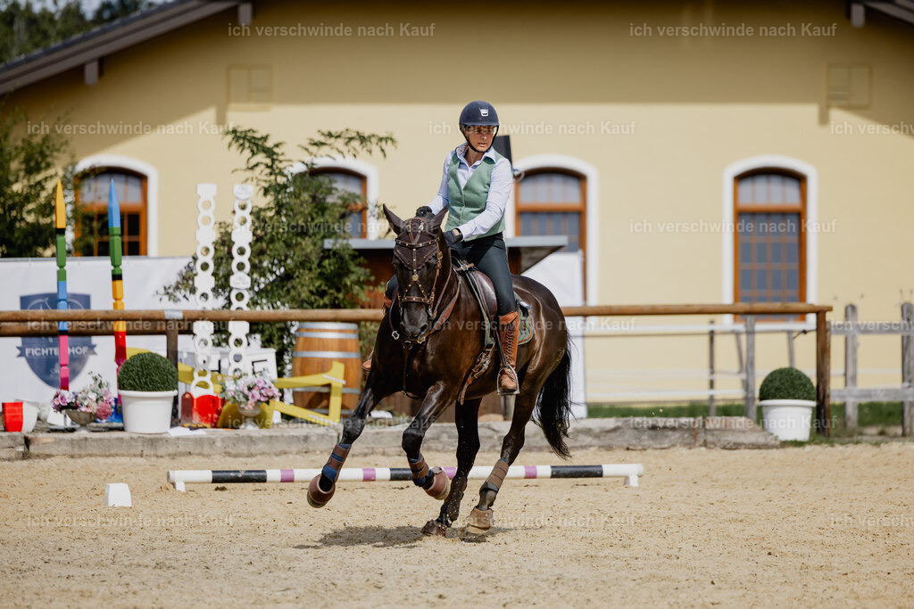 Mirjam25_FHC2025-20355 | working equitationturnier fotograf videograf stoibphotography marixx film working equitation deutschland reitsport turnierfotografie eventfotografie equestrian events