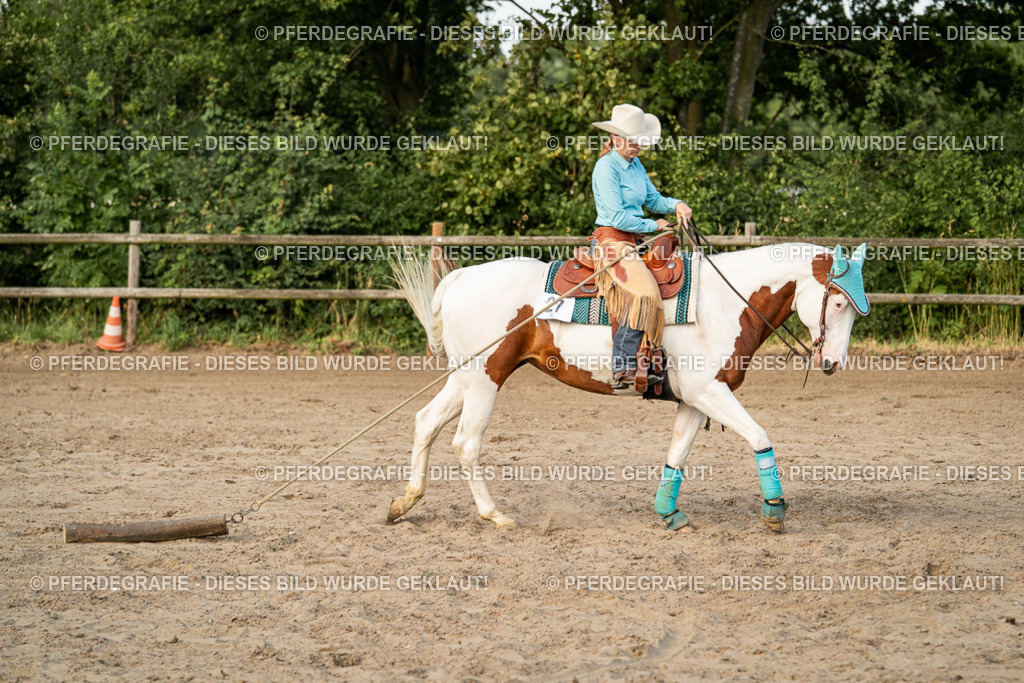 DSC05858 | Pferdegrafie