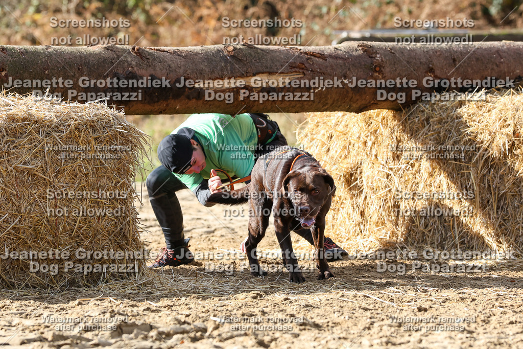 Dog Paparazzi - Strongdog 10-25-5231 | Dog Paparazzi Jeanette Grottendiek Fotografie & Videografie - Realisiert mit Pictrs.com