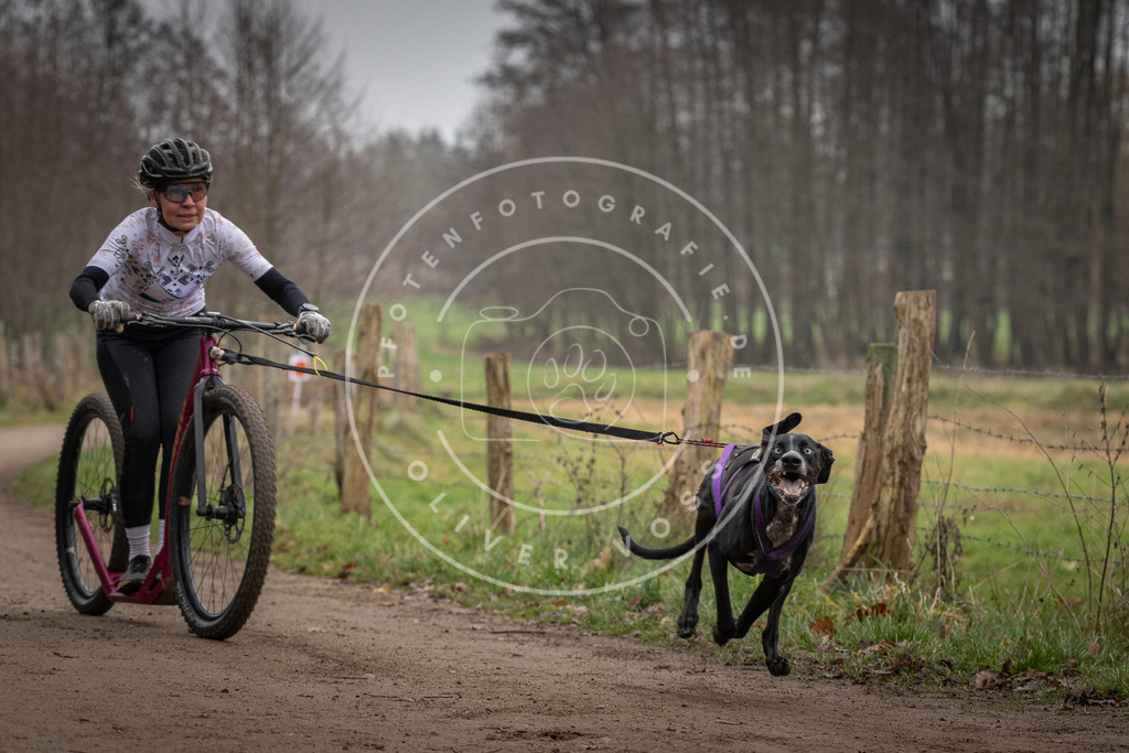 Pfotenfotografie_DV3A2322 | Hundefotografie, Tierfotograf, Pfotenfotografie, Fotoshooting Hund, Hunde Portrait, Hundesport, Hundeportraits, Heideshooting, Hunde, Sportfotograf, Hundefotograf, Turnierhundsport, THS,  - Realisiert mit Pictrs.com