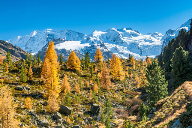 autumn views of the Bernina Region | Die ideale Geschenkidee für Naturliebhaber. Naturbilder von Marcel Gross Photography für ihr Zuhause in den verschiedensten Formaten und Materialien. - Realisiert mit Pictrs.com