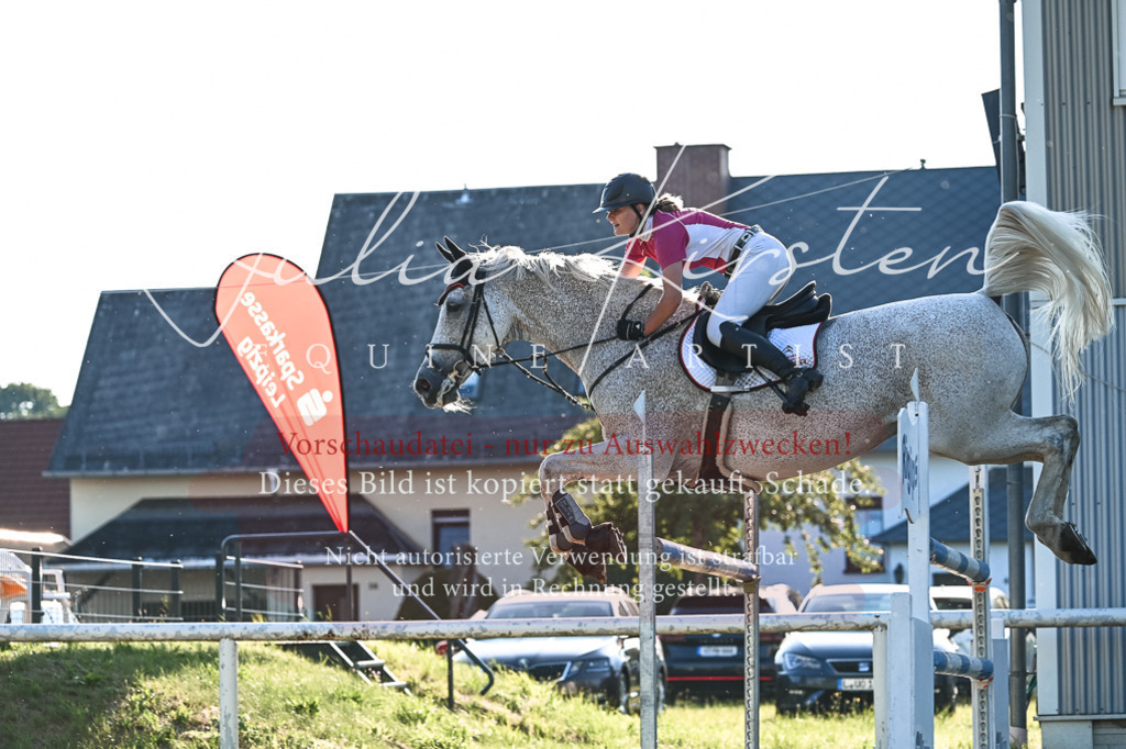 DSC_3136 | Pferde- und Turnierfotografie in Westsachsen. Pferdeportraits, Auftragszeichnungen und intuitive Kunst.