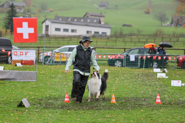 2025_Rally_Obedience_SM-252 | Ich fotografiere Hundeausstellungen, Sportanlässe, Zuchtstätten, Hundezucht, Hundeportrait, Lagotto - Realisiert mit Pictrs.com