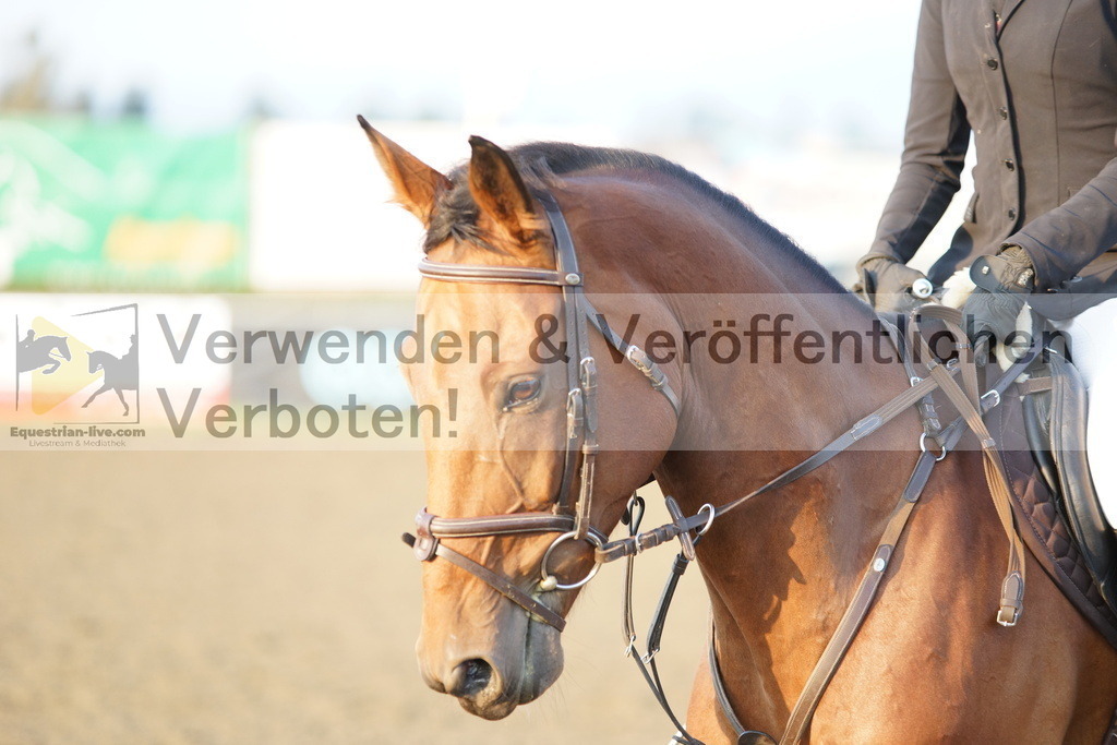 DSC02566 | equestrian-live-com