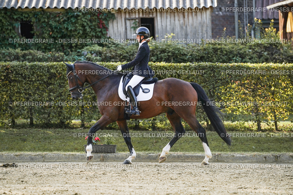 DSC05030 | Pferdegrafie