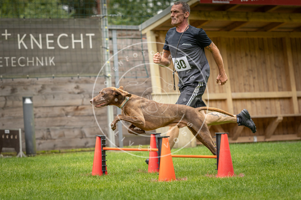 Pfotenfotografie_DV3A8941 | Hundefotografie, Tierfotograf, Pfotenfotografie, Fotoshooting Hund, Hunde Portrait, Hundesport, Hundeportraits, Heideshooting, Hunde, Sportfotograf, Hundefotograf, Turnierhundsport, THS,  - Realisiert mit Pictrs.com