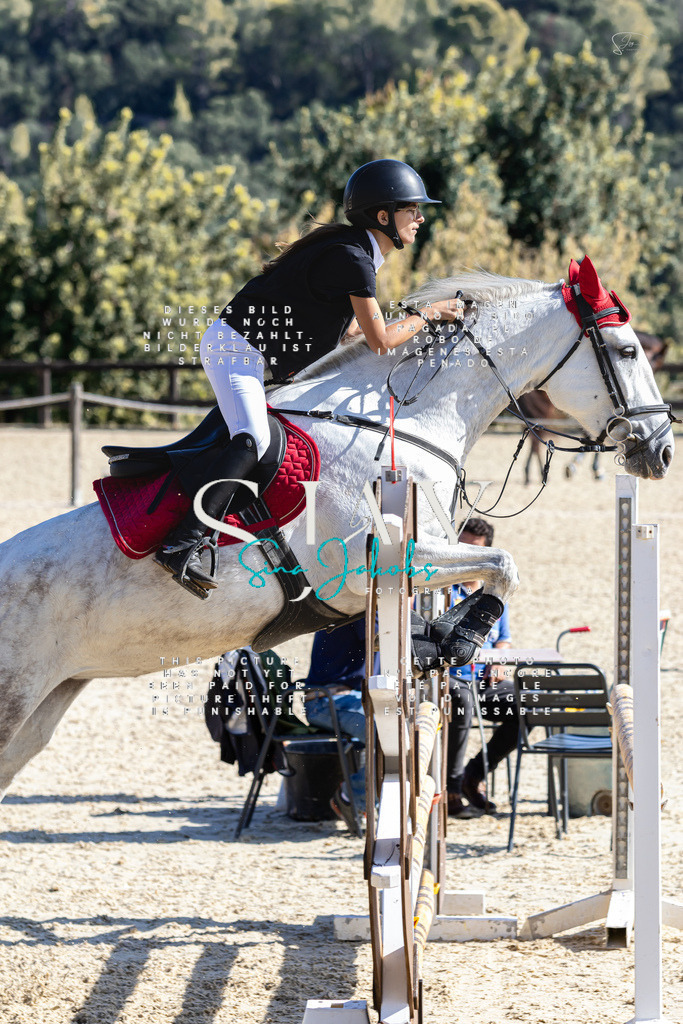 IMG_6468 | s-jay-photography - Realisiert mit Pictrs.com