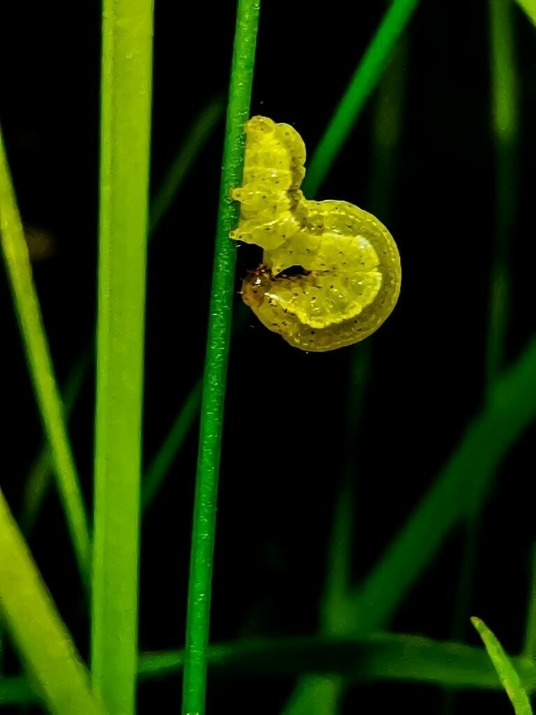 PSX_20220921_223937 | mtkfoto_ - Realisiert mit Pictrs.com