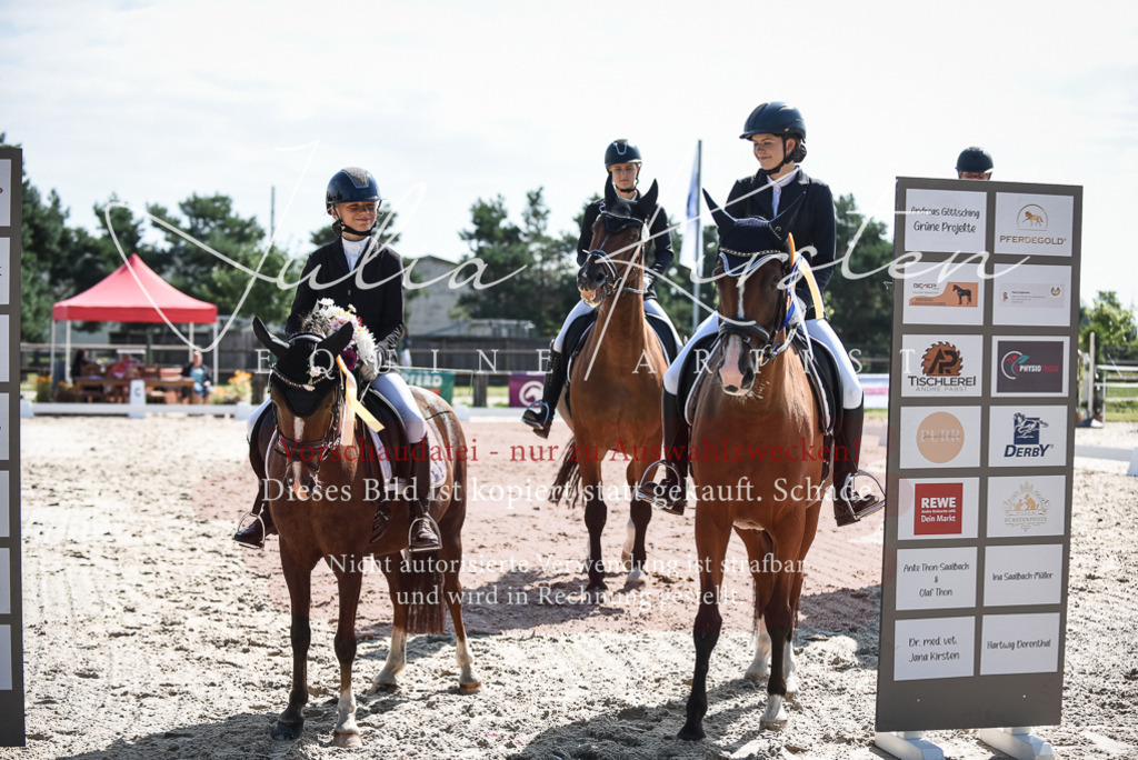 DSC_8763 | Pferde- und Turnierfotografie in Westsachsen. Pferdeportraits, Auftragszeichnungen und intuitive Kunst.
