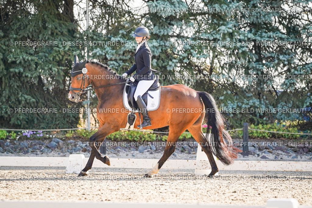 DSC09546 | Pferdegrafie