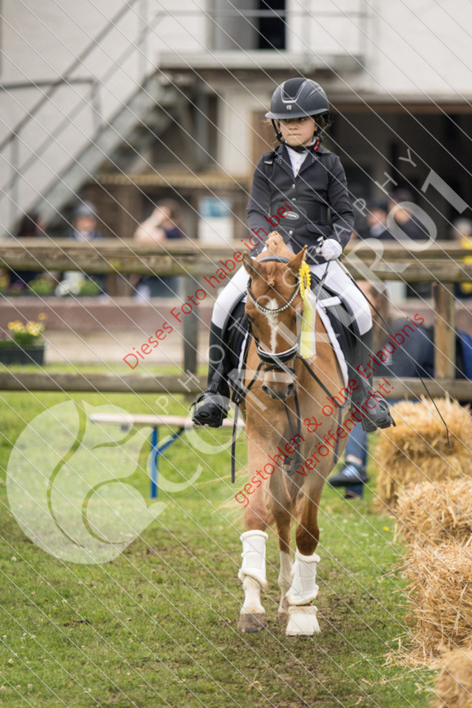 IMG_1911 | Sport-, Event- und Tierfotos in Profiqualität. Einfach auswählen, bestellen und herunterladen. Dein Moment – perfekt festgehalten.