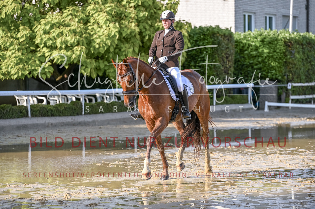 Schugtsche-Aluta25-54.Dressurprf.L1Trense-236 | Schugtsche Fotografie - Realisiert mit Pictrs.com