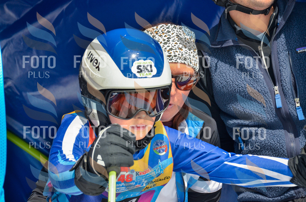 _ELE6494 | holidayphoto