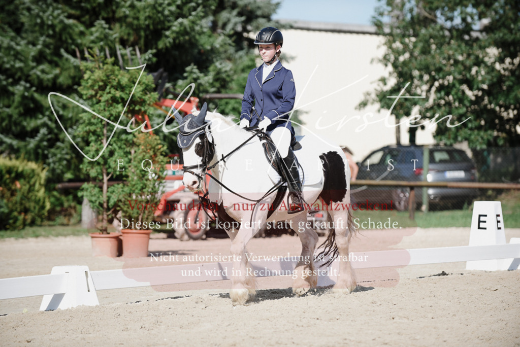 DSC_0101 | Pferde- und Turnierfotografie in Westsachsen. Pferdeportraits, Auftragszeichnungen und intuitive Kunst.